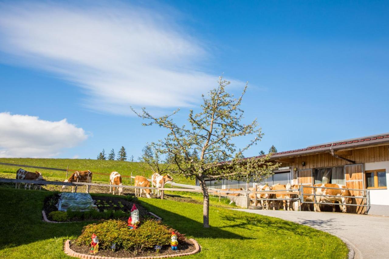 Sonnenappartements Madlstatthof Wildschoenau Exterior foto